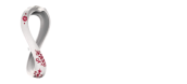 worldcup
